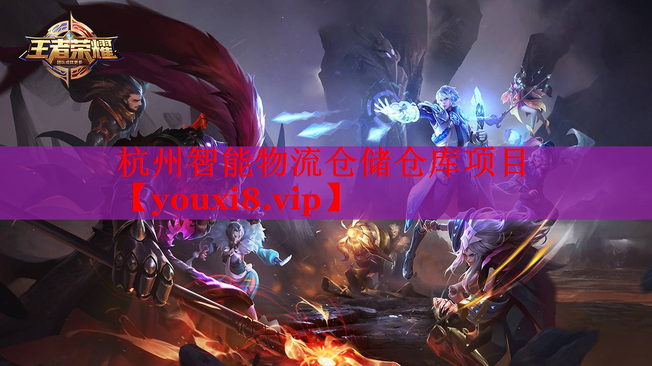 杭州智能物流倉(cāng)儲(chǔ)倉(cāng)庫(kù)項(xiàng)目