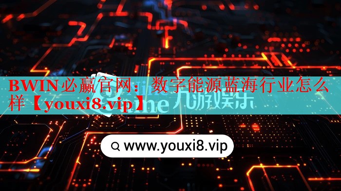 數(shù)字能源藍(lán)海行業(yè)怎么樣 數(shù)字能源藍(lán)海行業(yè)怎么樣