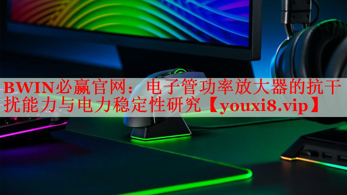 電子管功率放大器的抗干擾能力與電力穩(wěn)定性研究