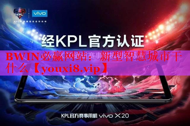 新型智慧城市干什么