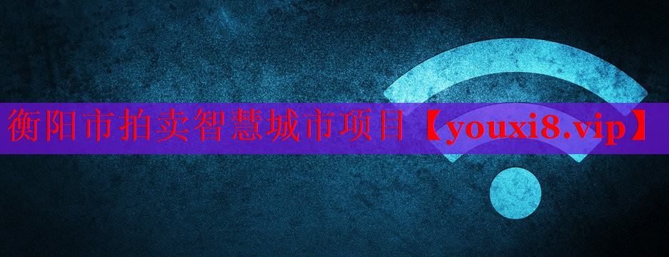 衡陽(yáng)市拍賣(mài)智慧城市項(xiàng)目