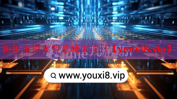 衡陽(yáng)市拍賣(mài)智慧城市項(xiàng)目
