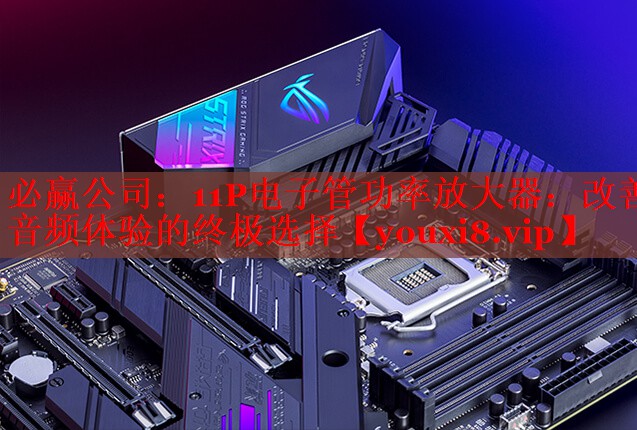 11P電子管功率放大器:改善音頻體驗(yàn)的終極選擇 11P電子管功率放大器:改善音頻體驗(yàn)的終極選擇