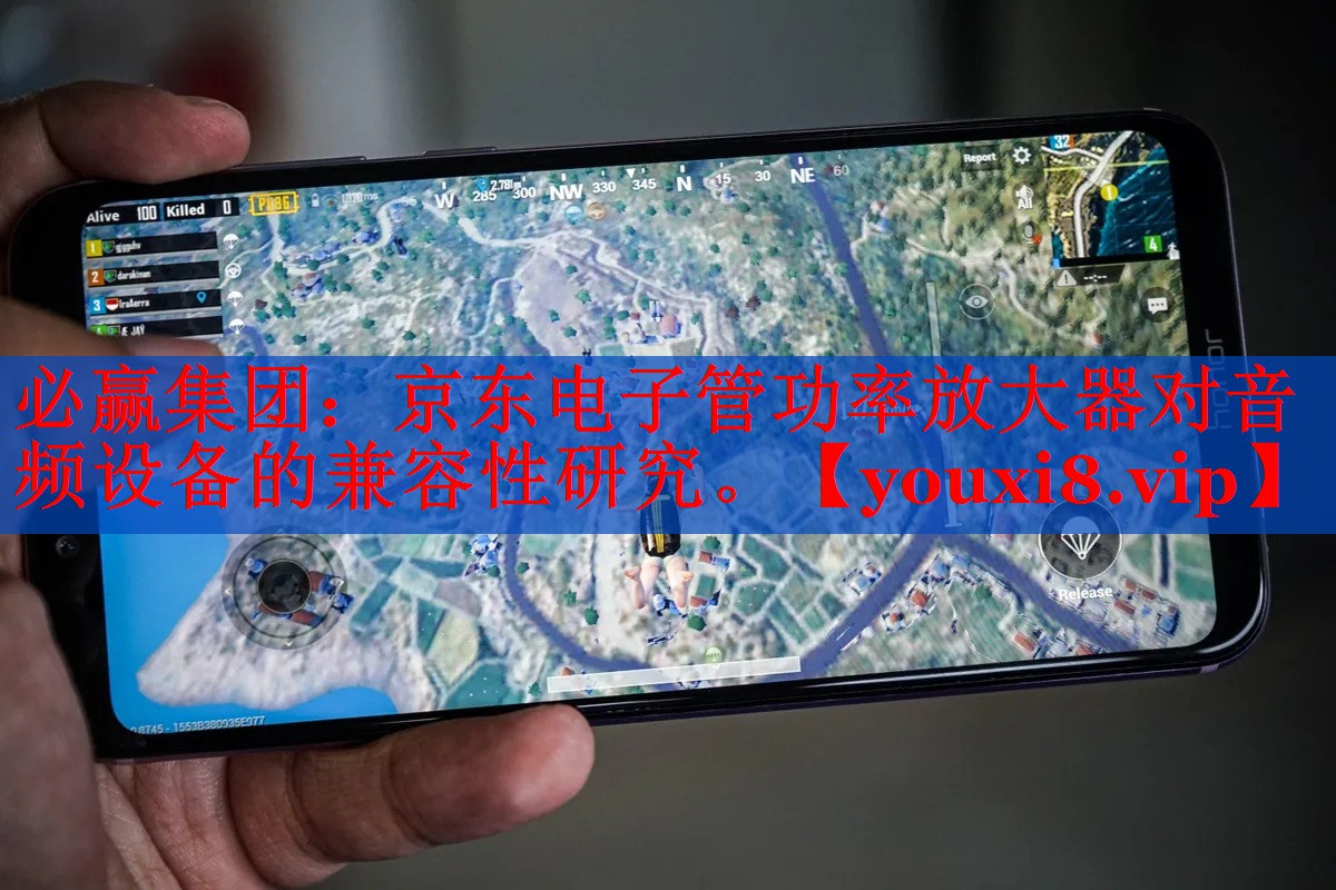 京東電子管功率放大器對(duì)音頻設(shè)備的兼容性研究。
