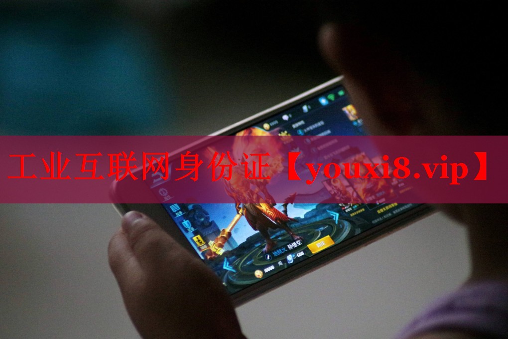 工業(yè)互聯(lián)網(wǎng)身份證 工業(yè)互聯(lián)網(wǎng)身份證