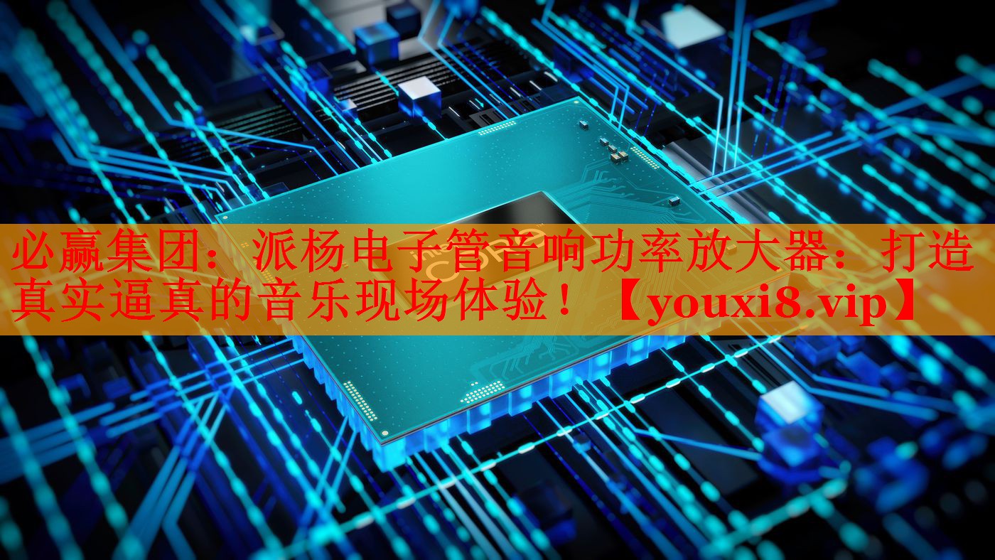 派楊電子管音響功率放大器：打造真實(shí)逼真的音樂現(xiàn)場體驗(yàn)！