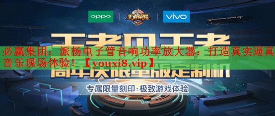 派楊電子管音響功率放大器：打造真實(shí)逼真的音樂現(xiàn)場體驗(yàn)！