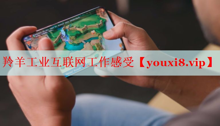 羚羊工業(yè)互聯(lián)網(wǎng)工作感受 羚羊工業(yè)互聯(lián)網(wǎng)工作感受